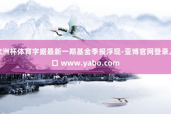 欧洲杯体育字据最新一期基金季报浮现-亚博官网登录入口 www.yabo.com
