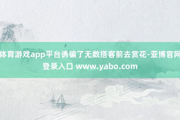 体育游戏app平台诱骗了无数搭客前去赏花-亚博官网登录入口 www.yabo.com