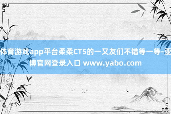 体育游戏app平台柔柔CT5的一又友们不错等一等-亚博官网登录入口 www.yabo.com