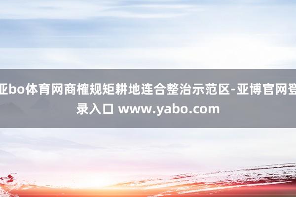 亚bo体育网商榷规矩耕地连合整治示范区-亚博官网登录入口 www.yabo.com