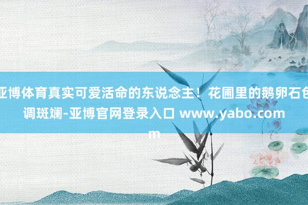 亚博体育真实可爱活命的东说念主！花圃里的鹅卵石色调斑斓-亚博官网登录入口 www.yabo.com
