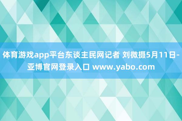 体育游戏app平台东谈主民网记者 刘微摄5月11日-亚博官网登录入口 www.yabo.com