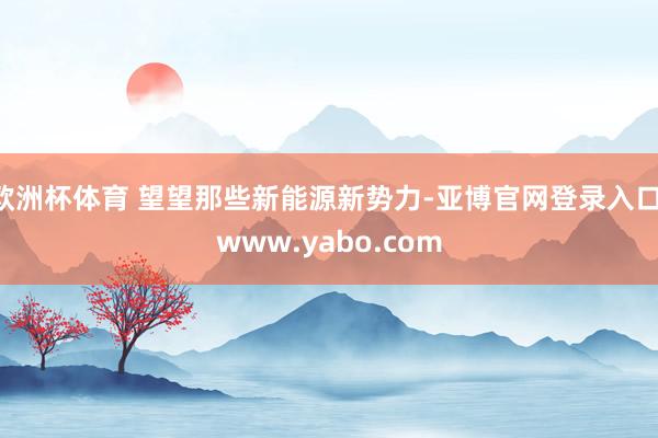 欧洲杯体育 望望那些新能源新势力-亚博官网登录入口 www.yabo.com