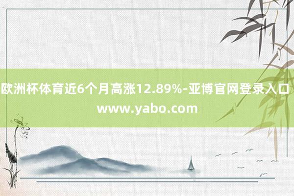 欧洲杯体育近6个月高涨12.89%-亚博官网登录入口 www.yabo.com