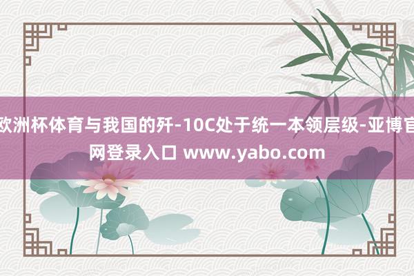 欧洲杯体育与我国的歼-10C处于统一本领层级-亚博官网登录入口 www.yabo.com