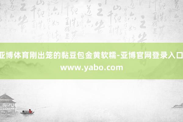 亚博体育刚出笼的黏豆包金黄软糯-亚博官网登录入口 www.yabo.com