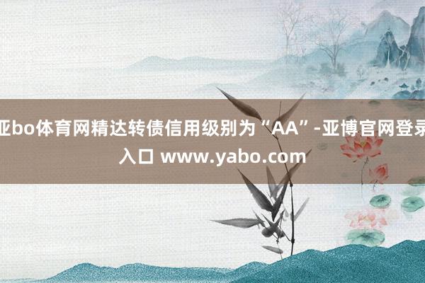 亚bo体育网精达转债信用级别为“AA”-亚博官网登录入口 www.yabo.com
