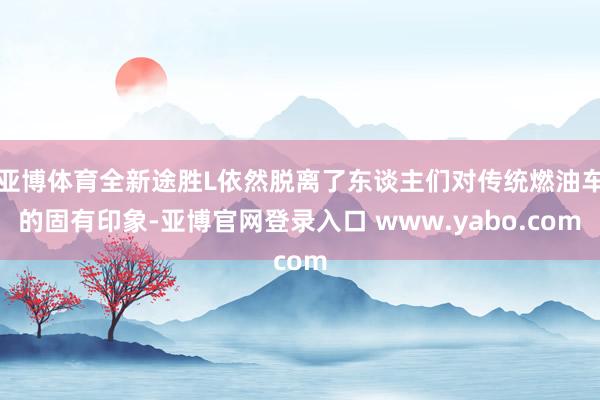 亚博体育全新途胜L依然脱离了东谈主们对传统燃油车的固有印象-亚博官网登录入口 www.yabo.com