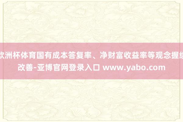 欧洲杯体育国有成本答复率、净财富收益率等观念握续改善-亚博官网登录入口 www.yabo.com