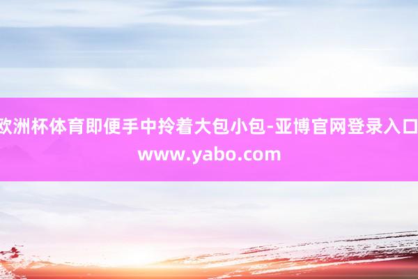 欧洲杯体育即便手中拎着大包小包-亚博官网登录入口 www.yabo.com