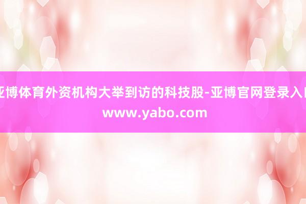 亚博体育外资机构大举到访的科技股-亚博官网登录入口 www.yabo.com