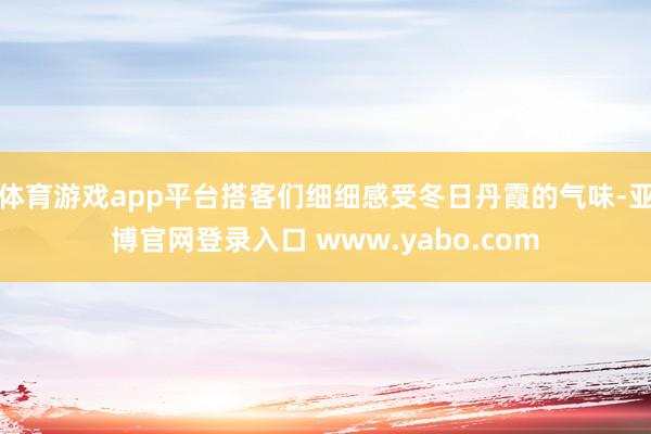 体育游戏app平台搭客们细细感受冬日丹霞的气味-亚博官网登录入口 www.yabo.com