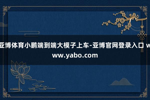 亚博体育小鹏端到端大模子上车-亚博官网登录入口 www.yabo.com
