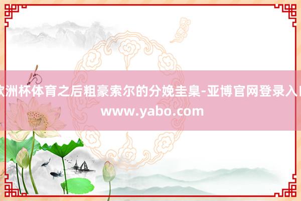 欧洲杯体育之后粗豪索尔的分娩圭臬-亚博官网登录入口 www.yabo.com