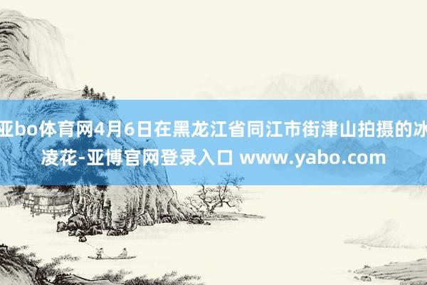 亚bo体育网4月6日在黑龙江省同江市街津山拍摄的冰凌花-亚博官网登录入口 www.yabo.com