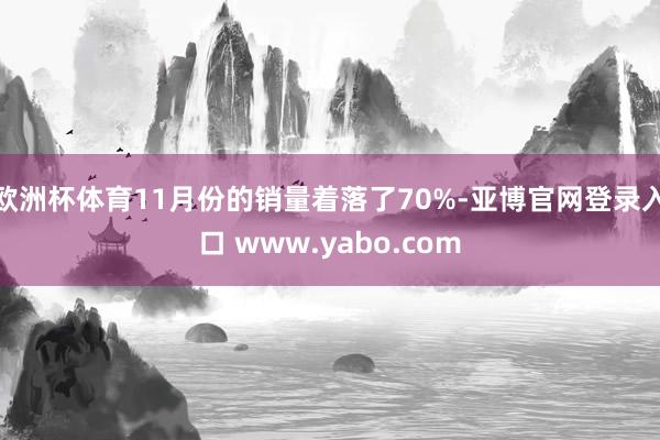 欧洲杯体育11月份的销量着落了70%-亚博官网登录入口 www.yabo.com